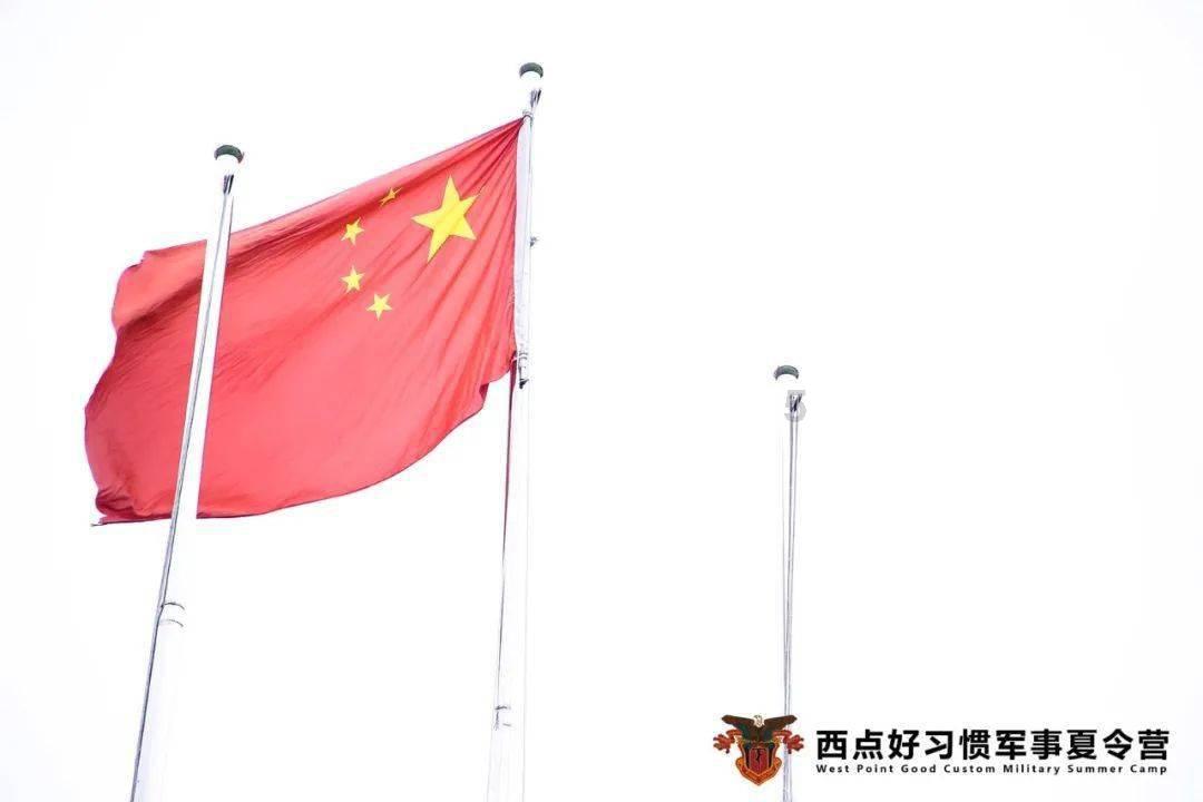 虫虫助手下载